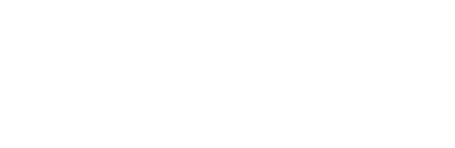 logoxpulse200t